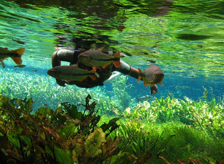 Sua Operador de Turismo em Sulamerica Viagens e sua Brasandes Agência de Viagens. - Encontre Pacotes Turisticos  Hotéis e Passagens Aéreas, Viaje com Segurança para qualquer destino.
